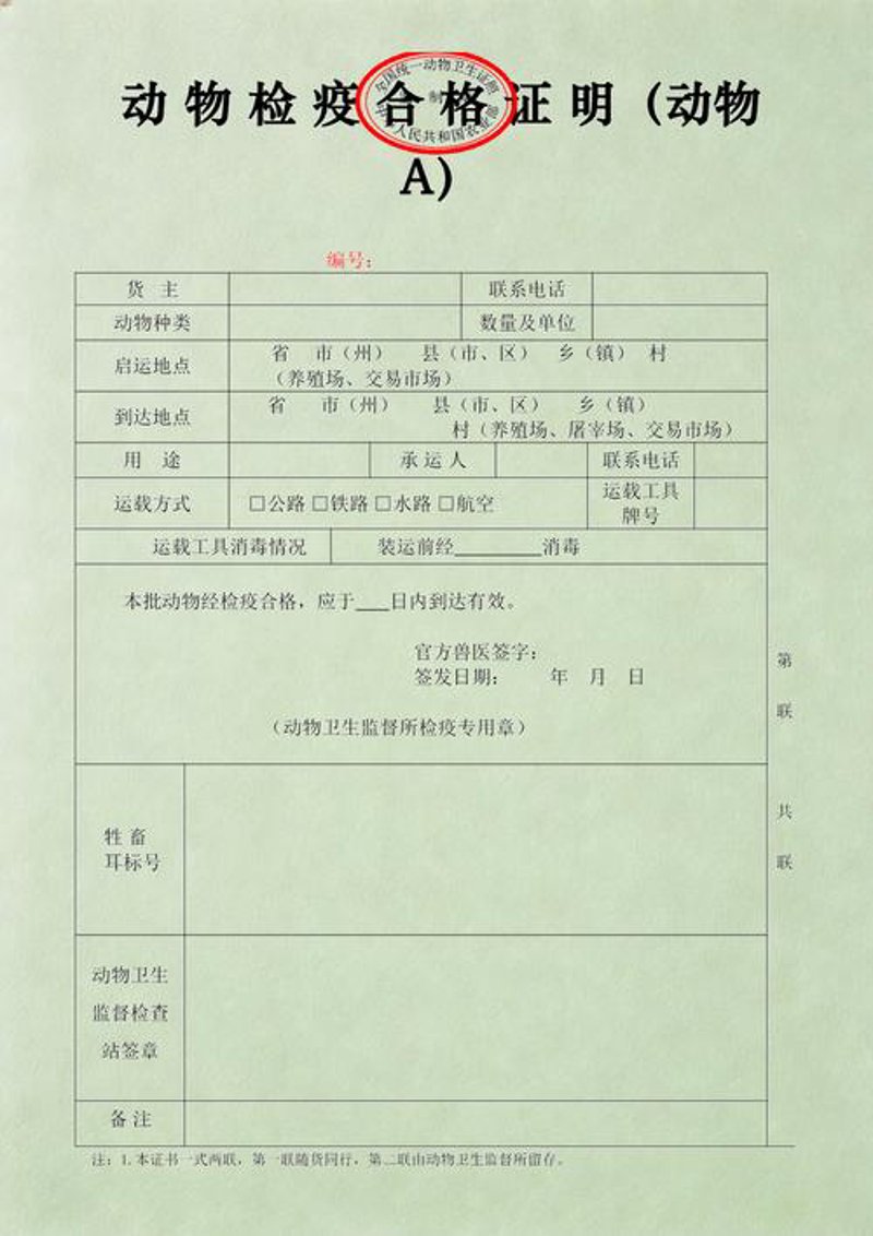 活牛交易市场